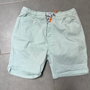 Free Planet Light Green Men's Dress Shorts Vacation Summer